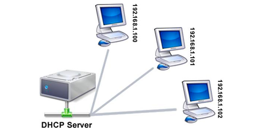 for dynamic assignment of ip address to host how does a dhcp server works mcq